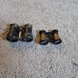 French Antique Binos
