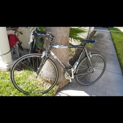 Colnago Road Bike Bstay Dream