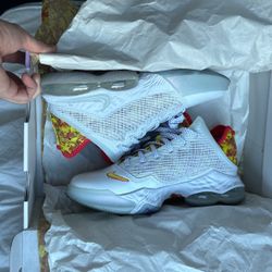Lebron X Fruity Pebbles Collab siz8