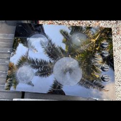 Amana 30 Inch Electric Cooktop