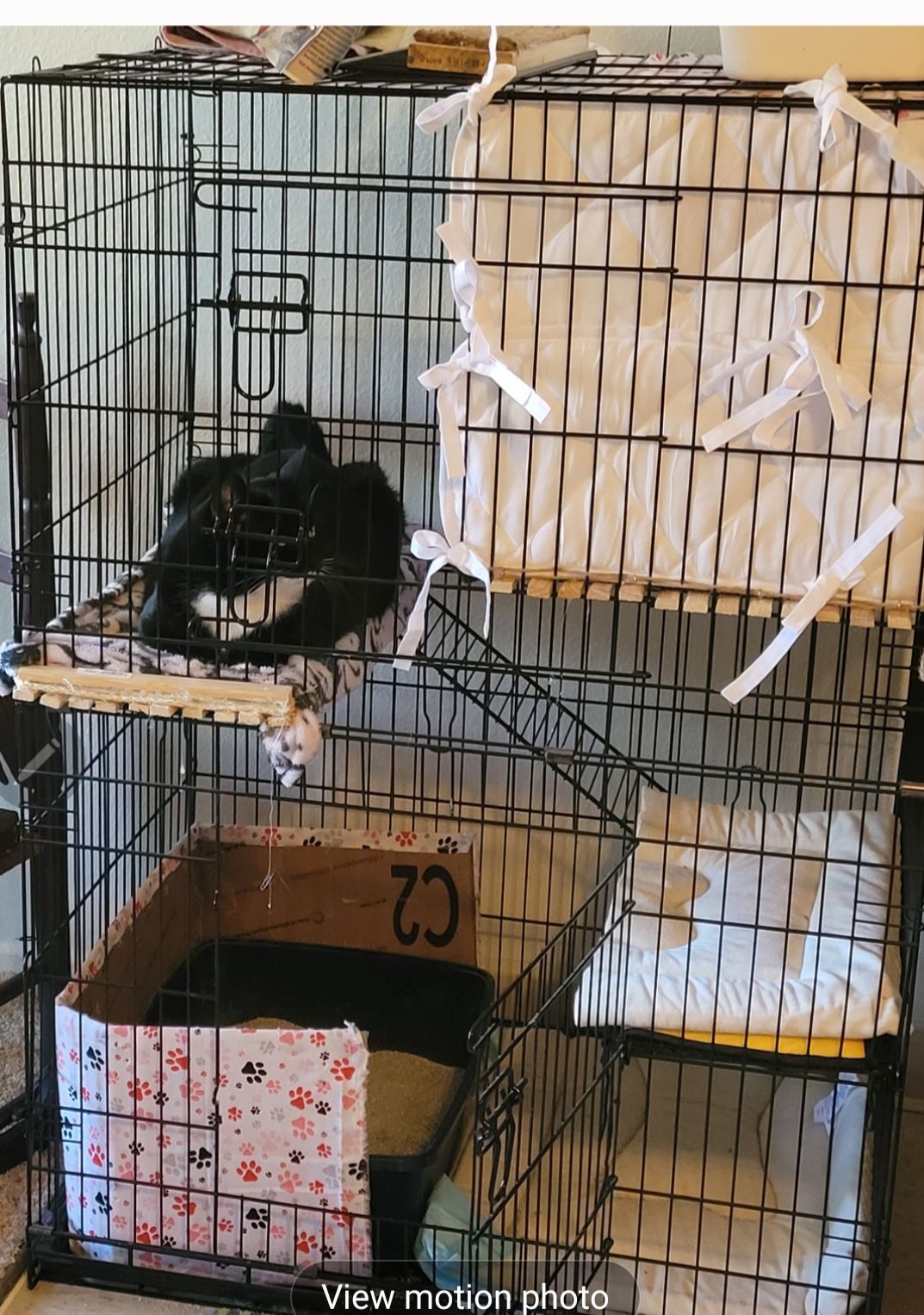 Cat Cage 3 Stories