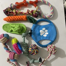 Lot of Dog Toys $20