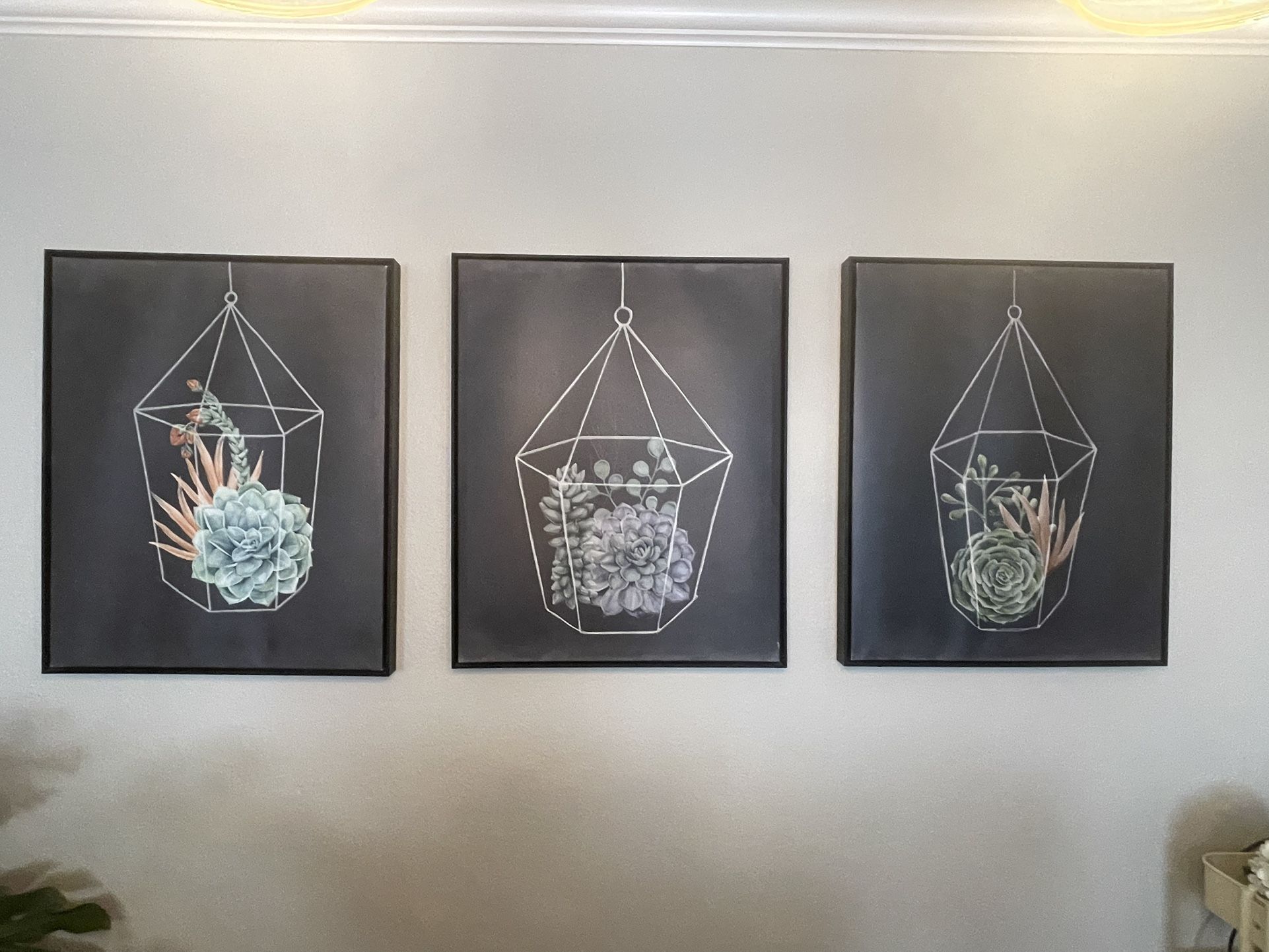 4 piece succulent wall art 31x25 each