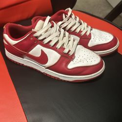 Dunks Size 8