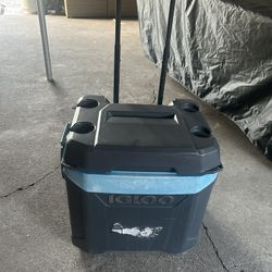 Igloo Cooler