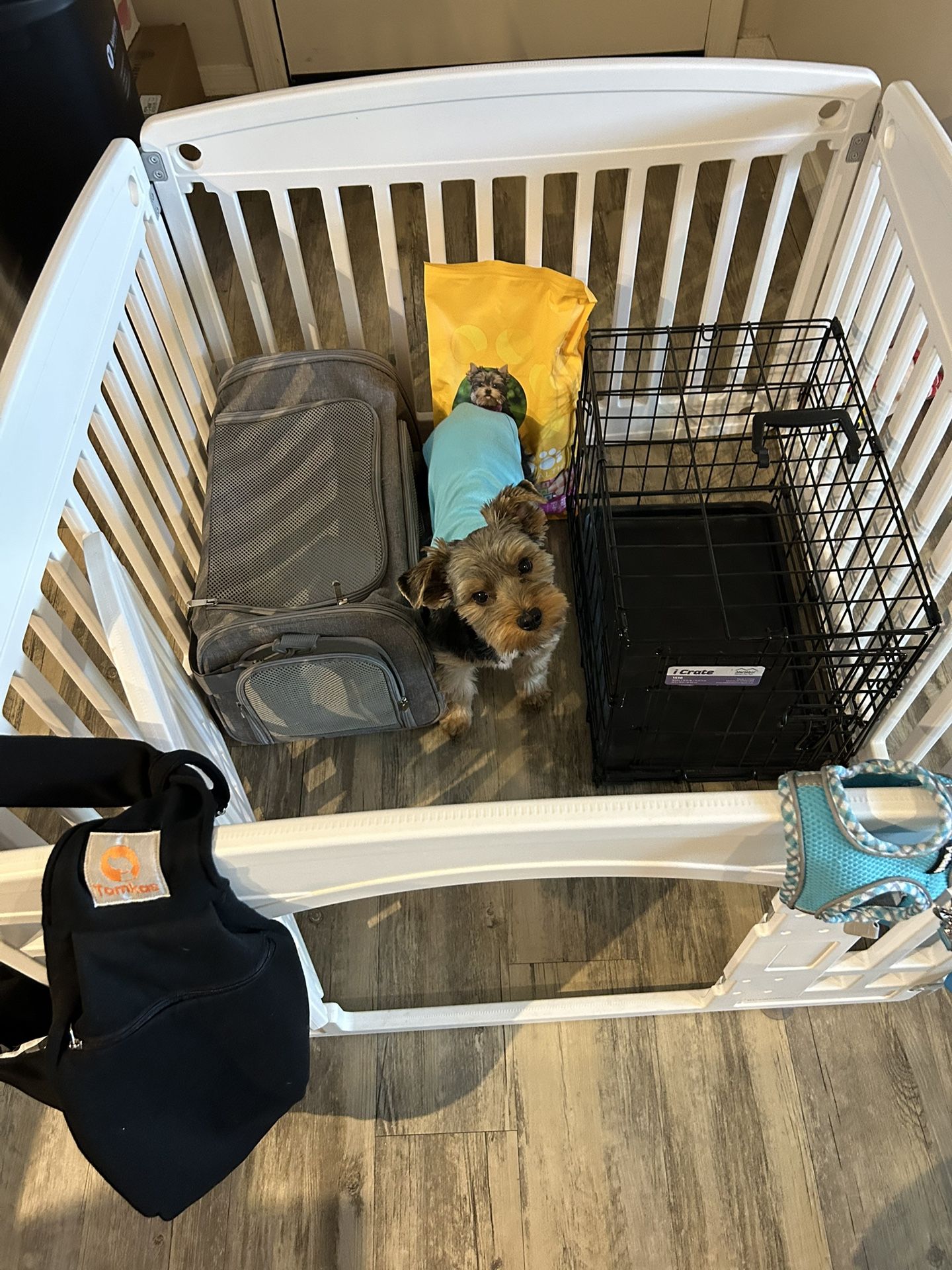 Complete Small Dog Puppy Package