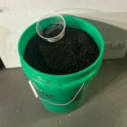 Carib Sea Aquarium Gravel -Black