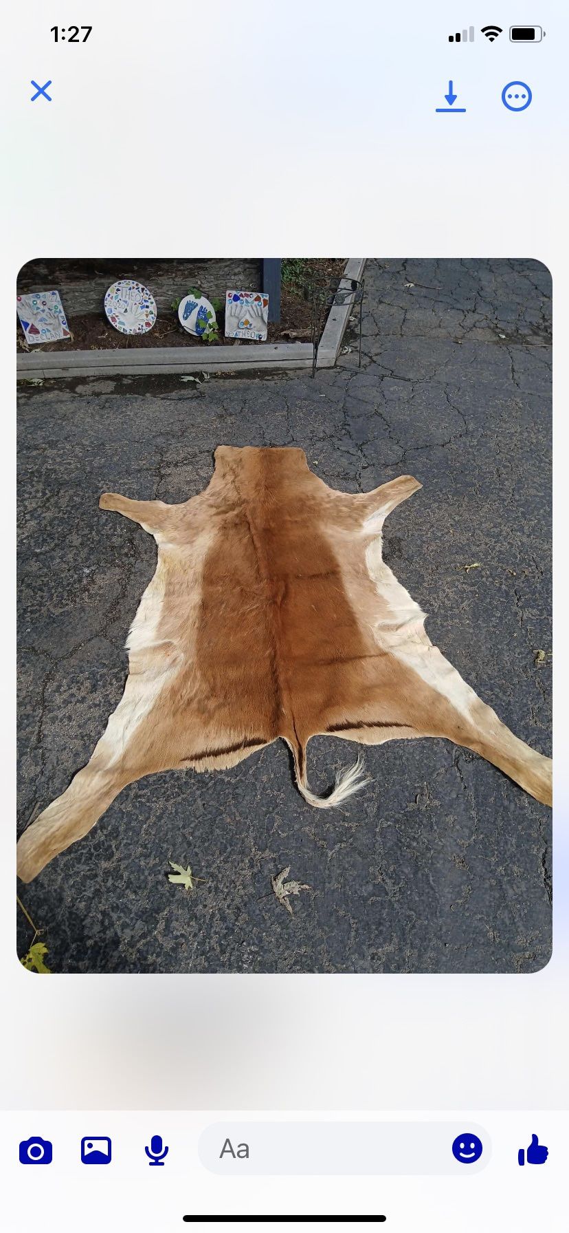 Taxidermy Antelope Skin!! $50 Obo.  