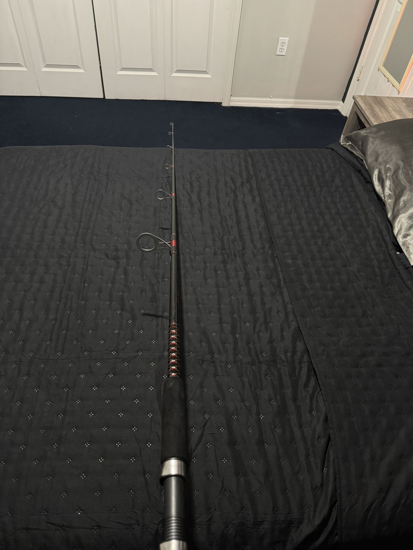 Saltwater Fishing Rod