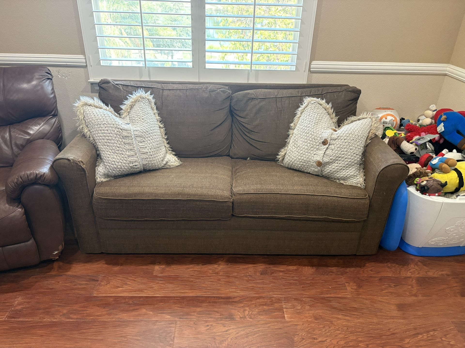 FREE! Pull Out Couch