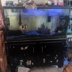 75 Gallon And Stand