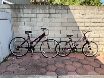 2 Bikes for Sale – Schwinn Hybrid + Magna Mountain Bike