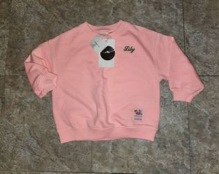 Zara lily embroidered pullover sweater new