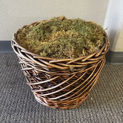 Weave Basket with Fake Moss / Foam (Tree / Plant / Decor)