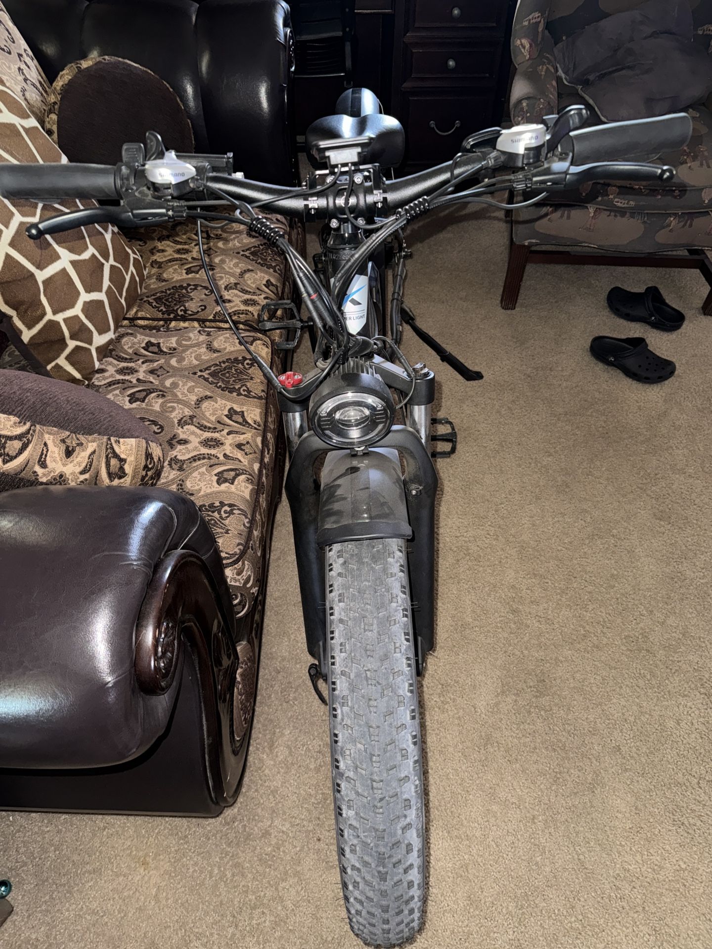 Electric Bike