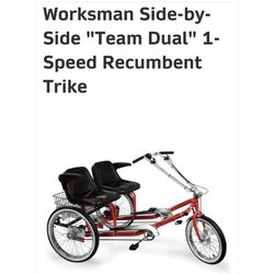Workman side by side bicycle