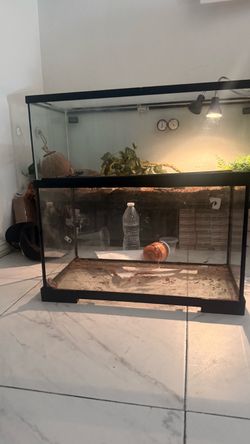 Reptile Tank
