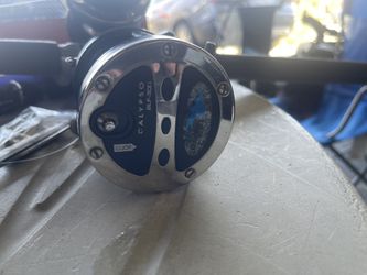 2 calypso reel