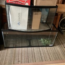 Fish Tanks
