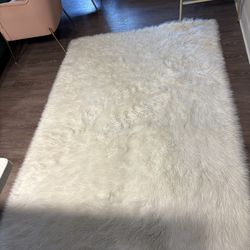 Area Rug for sale!