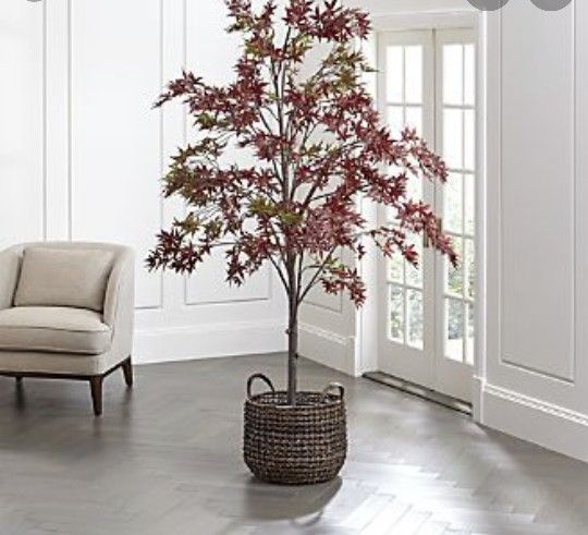 Crate n Barrel - Artificial Japanese Maple