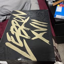 LeBron 17 Size 13 Men Still New