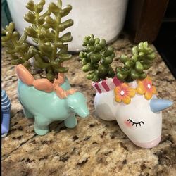 Article succulent ceramic decorations