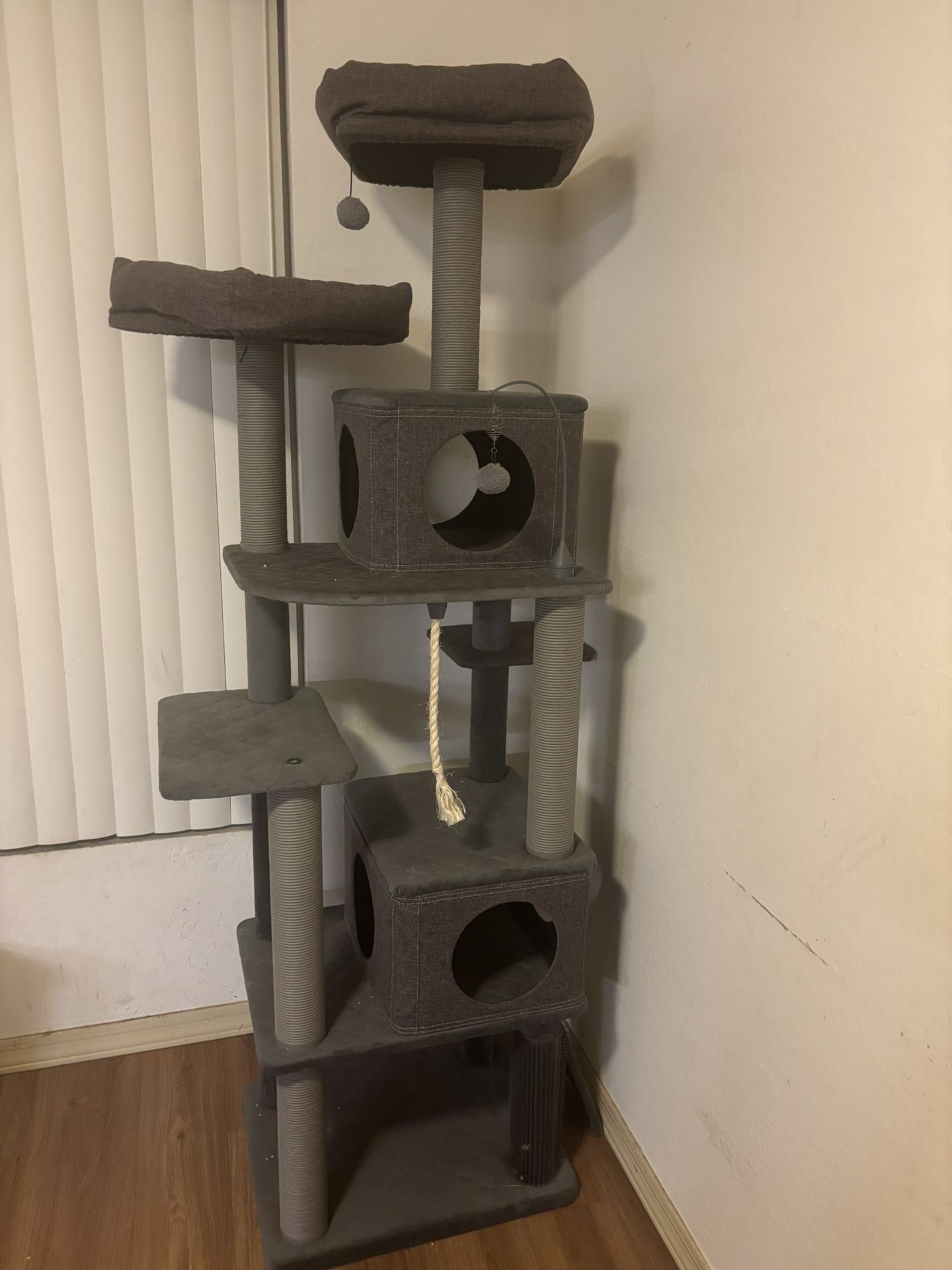 Cats House