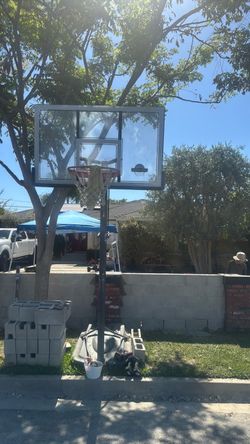 Basketball court