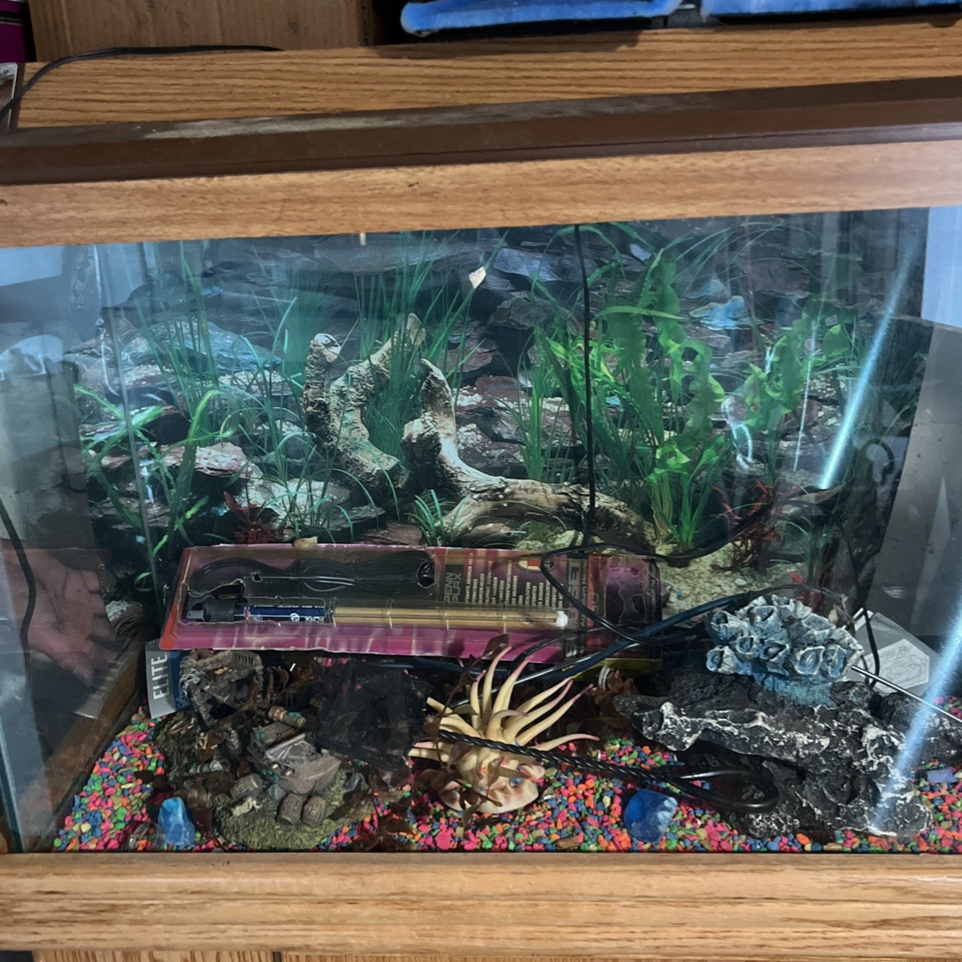 Fish Tank 20 Gallons  With Stand