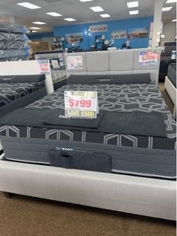 CLOSEOUT SALE HYBRID QUEEN