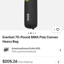 Punching Bag 