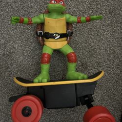 Ninja turtle on skateboard 