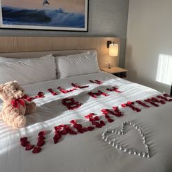 Valentines Day Teddy Bear & Artificial Rose Petals