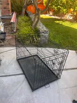 Free dog crate