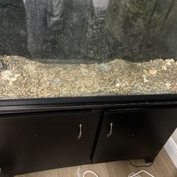 55 Gallon Fish Tank   