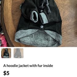 Jacket For Dogs