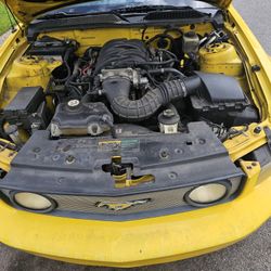2006 Ford Mustang