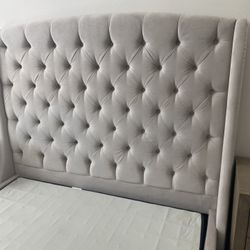 Living Spaces- Mariah Queen Velvet Upholstered Bed