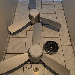Ceiling Fans