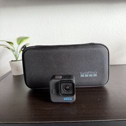 GoPro Hero11 Mini