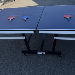 Ping-Pong Table 