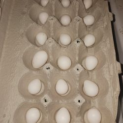Farm Fresh Brown And White Eggs $5 Doz