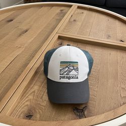 Patagonia Trucker Hat 