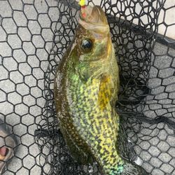 Killer Crappie Jigs!! 