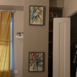 Set Of parrot Paintings, Framed