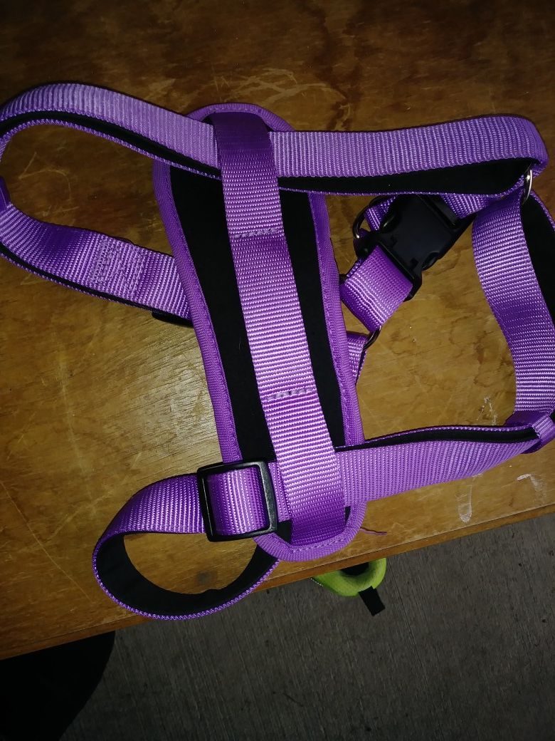 New 2 harness- and a cute new collar. Pink ones are a small and purple is a small to medium.