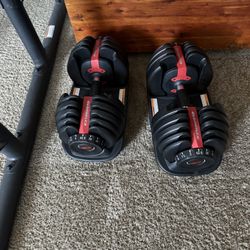 Bowflex SelectTech 552 Dumbbells