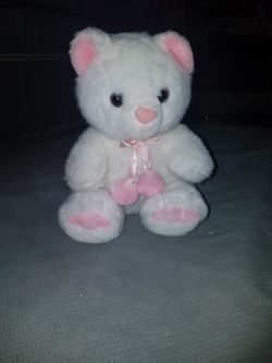 White Teddy Bear