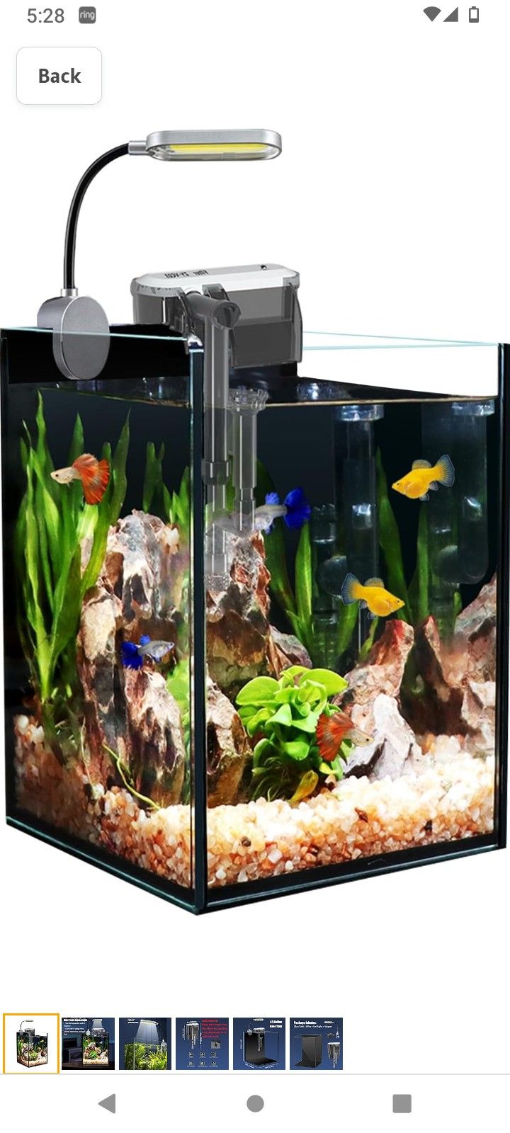 Betta Fish Tank Aquarium Fish Tank Setup With Filter And UV Light